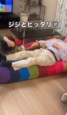 祖父にくっつく小型犬