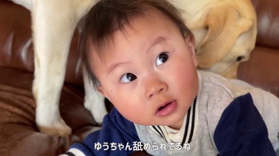 「キレイにしなくちゃ…!」