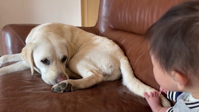 サンちゃんは恰好の遊び相手