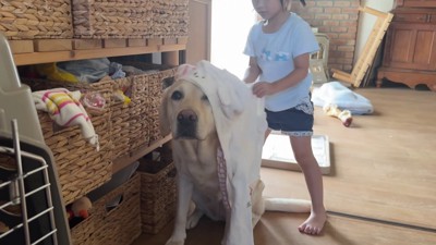 「おめかしもしてあげる♡」