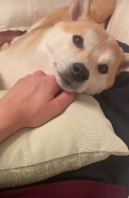 「もう終わり?」