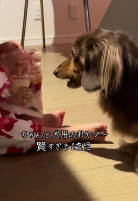 可愛い密会にホッコリ