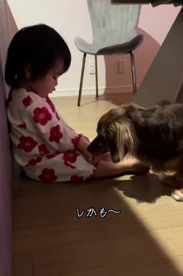 「ハイ、どうぞ」