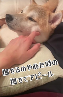 うっとりした表情