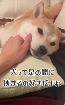 最高に愛おしい…♡