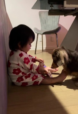 犬用のお菓子!!