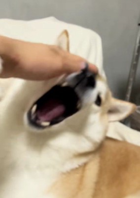 もう大丈夫だよ!!