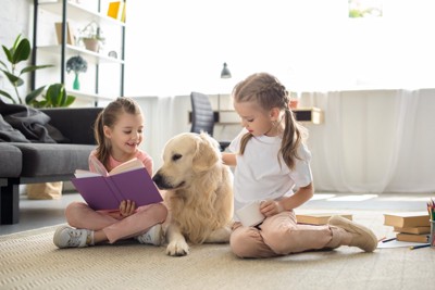 子どもに囲まれる犬