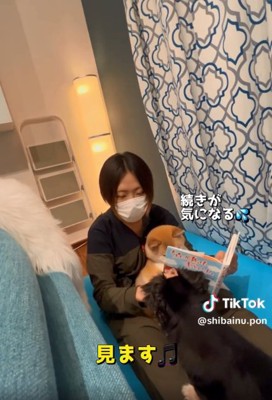 絵本が見たいチビさん