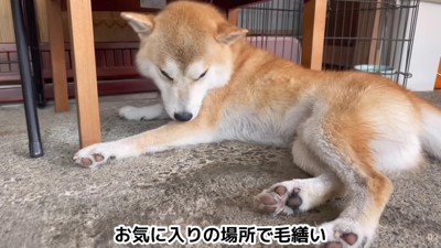 凛々しく逞しい顔立ちに