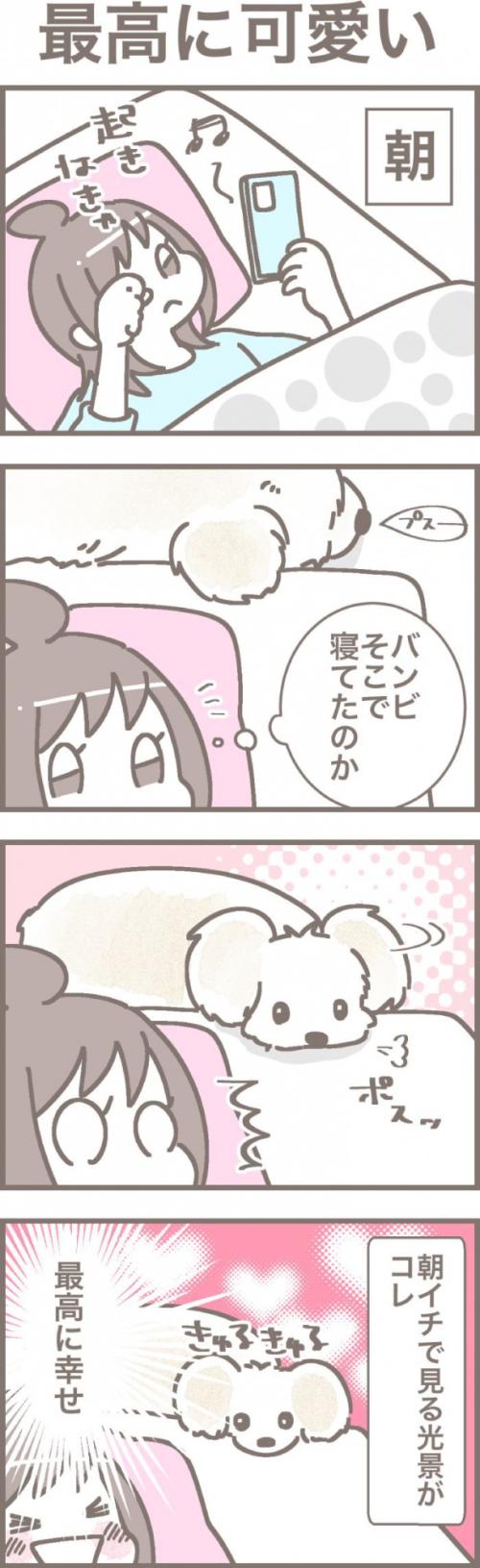 うちの王様にはどうしても抗えない【第327話】