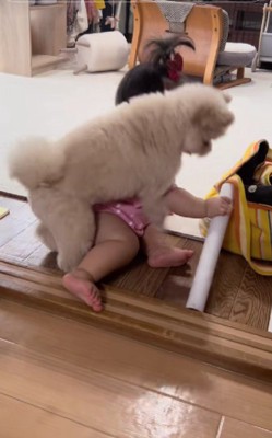 「これは僕の!!」