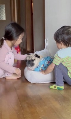 優しくナデナデ