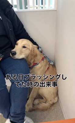 見つけてしまった…