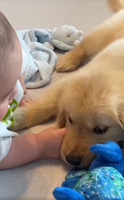 いつも一緒のふたり