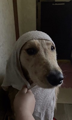 …恥ずかし！！