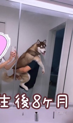 るい君の成長記録8