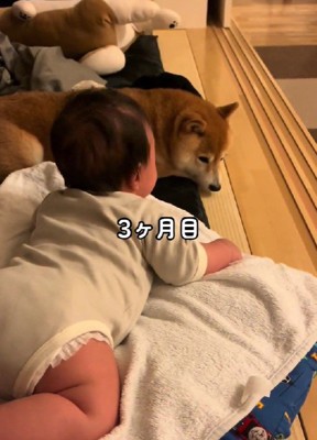 一緒に遊ぼうとする赤ちゃん