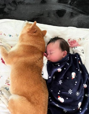 心が温かくなる物語