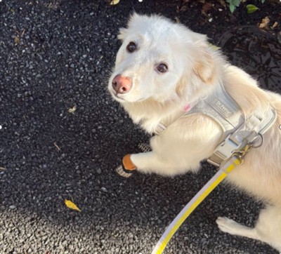 緊張した面持ち