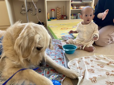 子どもとタイくん