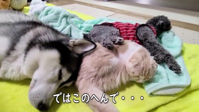 仲睦まじい姿にホッコリ♡