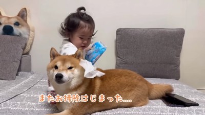 優しいうにくんに感嘆！