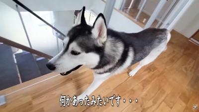 「大変です…！」