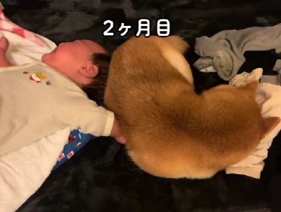 近くで寝られるようになった!