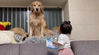 おからちゃんもぴかぴかに