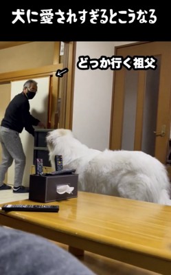 おじいちゃんは部屋の外へ…