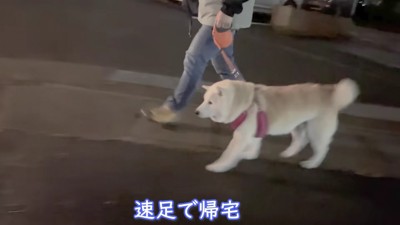 スタコラサッサと帰宅