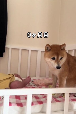 目を合わせられなかった