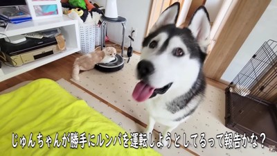 「これを見て下さい」