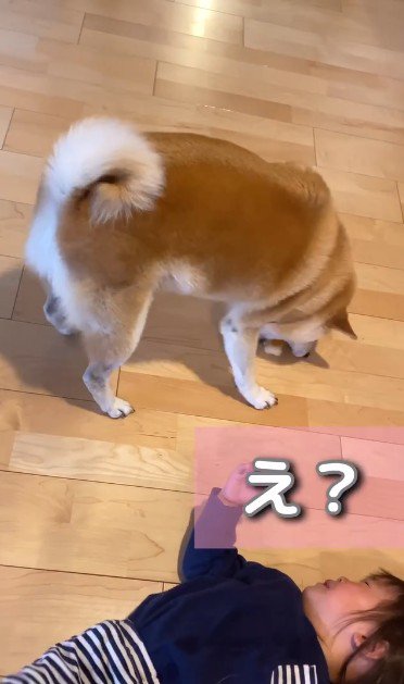 女の子も泣き止んだ!