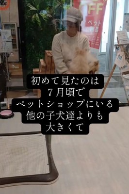 5ヶ月間売れなかった