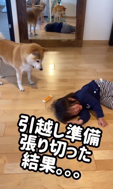 女の子がギャン泣き!