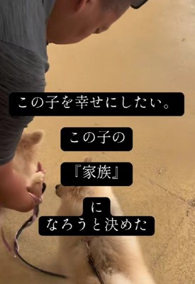 「この子を幸せにしたい」