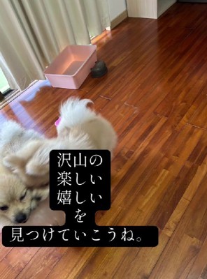 これからはひとりじゃない