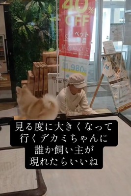 いつまでも売れない