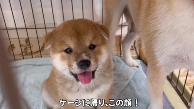 「あ～面白かった！」