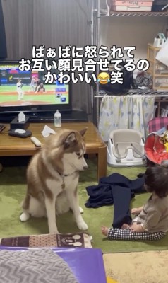 目と目で会話できちゃいます