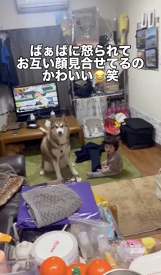 並んで叱られちゃった…