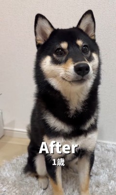 はるちゃんの成長4