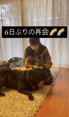 ジャックくん「まってたよー」