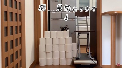大河くんのトイレットペーパーチャレンジ5