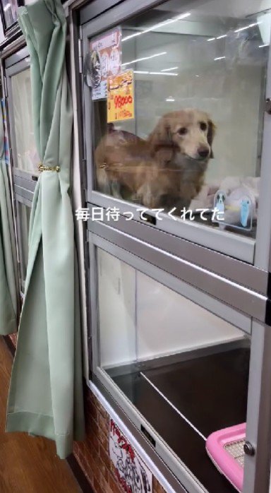 家族の反対を押し切って…