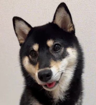 はるちゃんの成長6