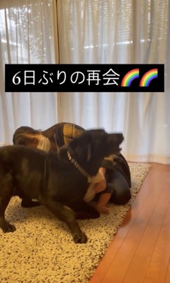 立ち上がって…