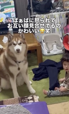 おばあちゃん「仲良くよ!」